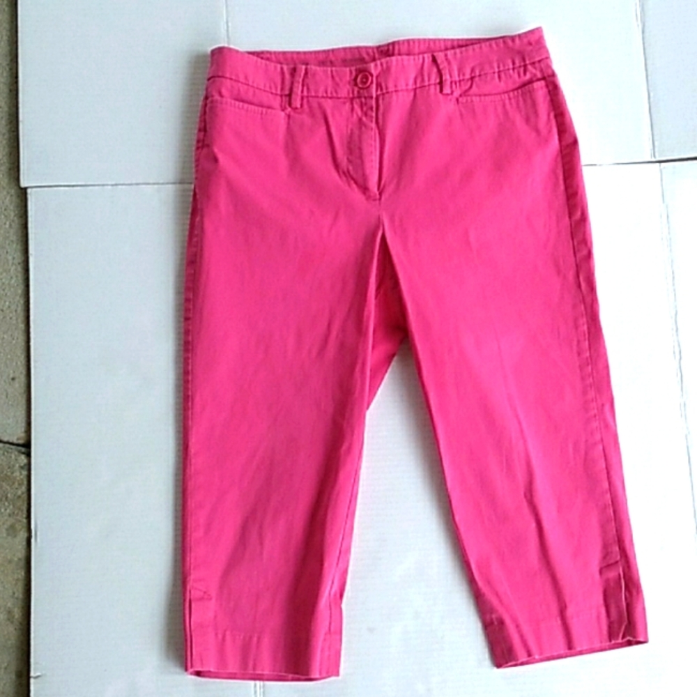 Talbots Perfect Skimmer Hot Pink Size 8P